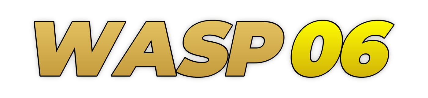 wasp06